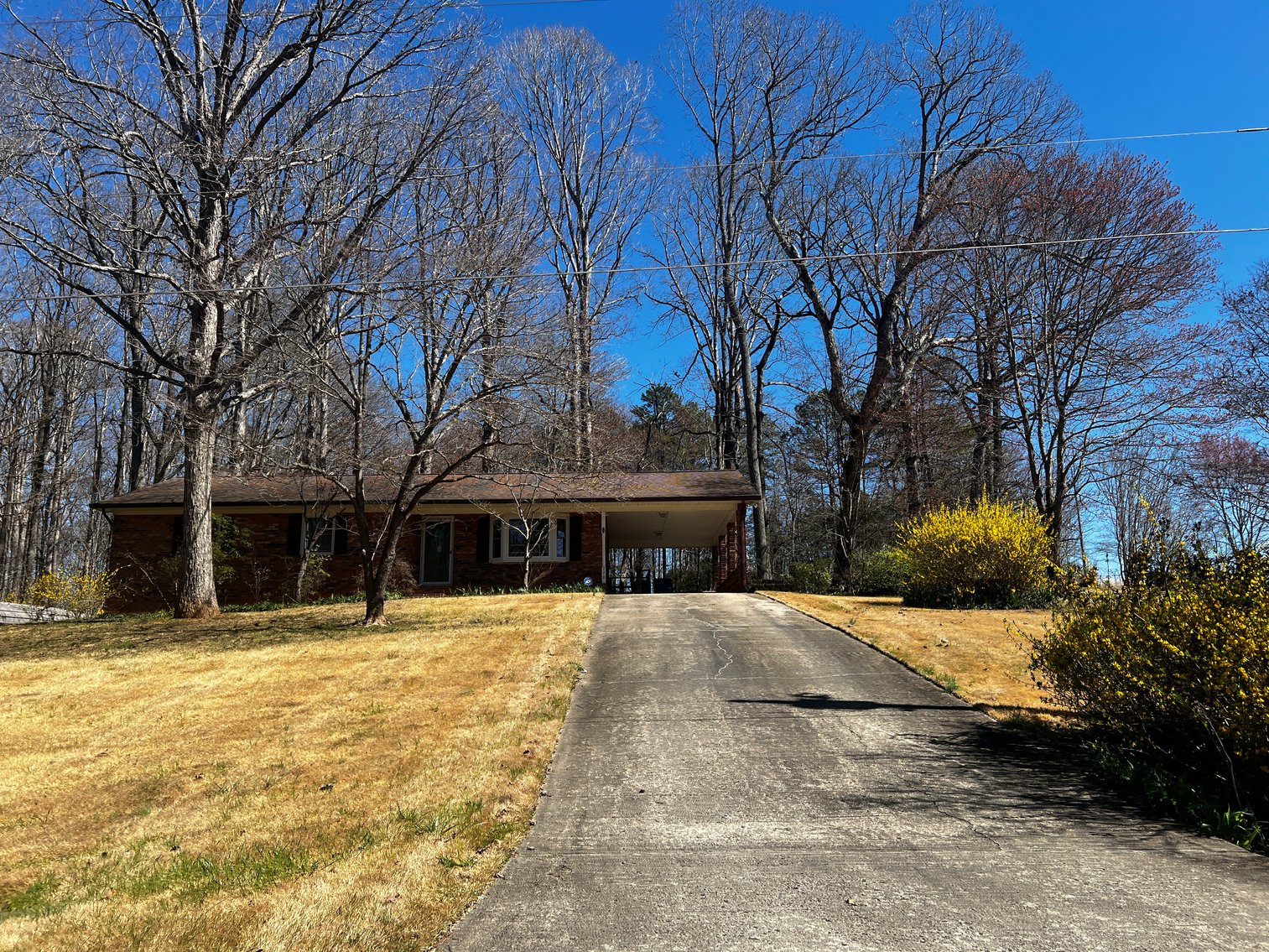 Advance Brick Rancher Auction