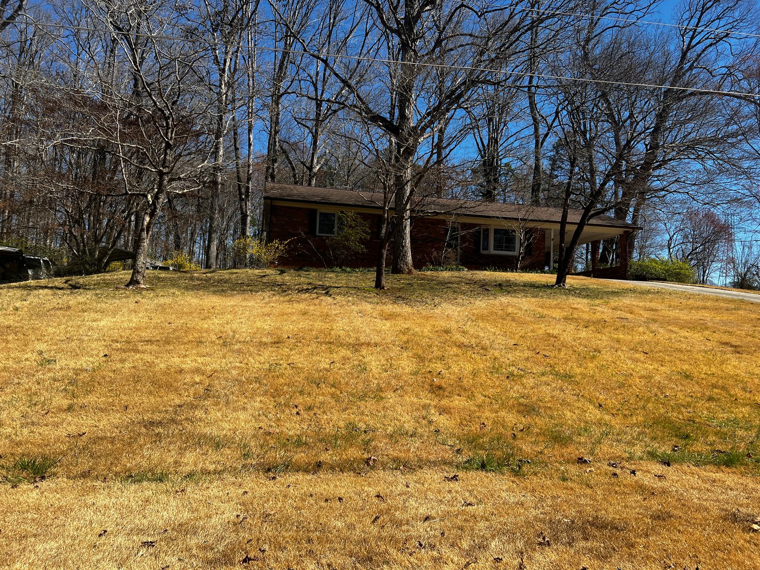 Advance Brick Rancher Auction