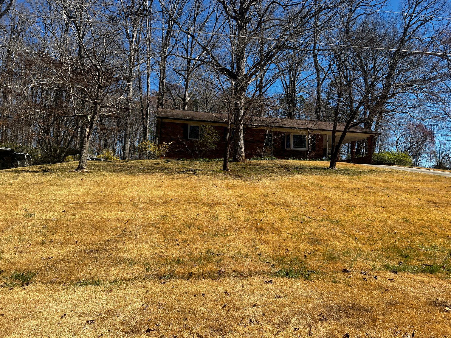 Advance Brick Rancher Auction