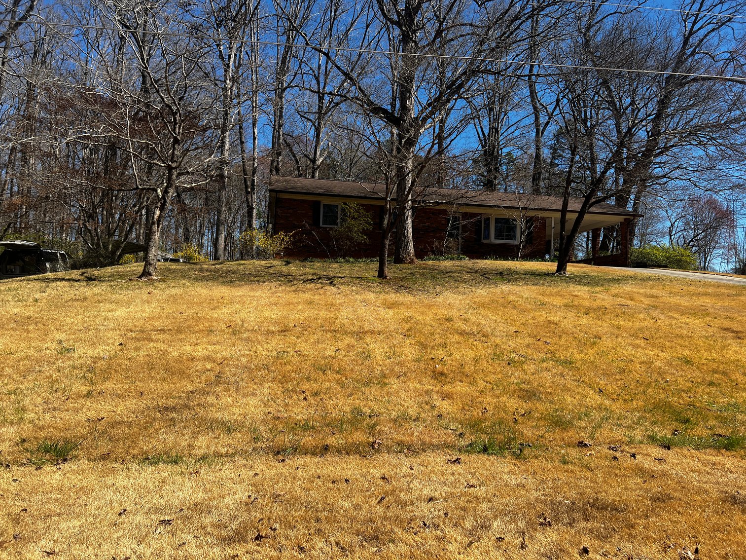 Advance Brick Rancher Auction