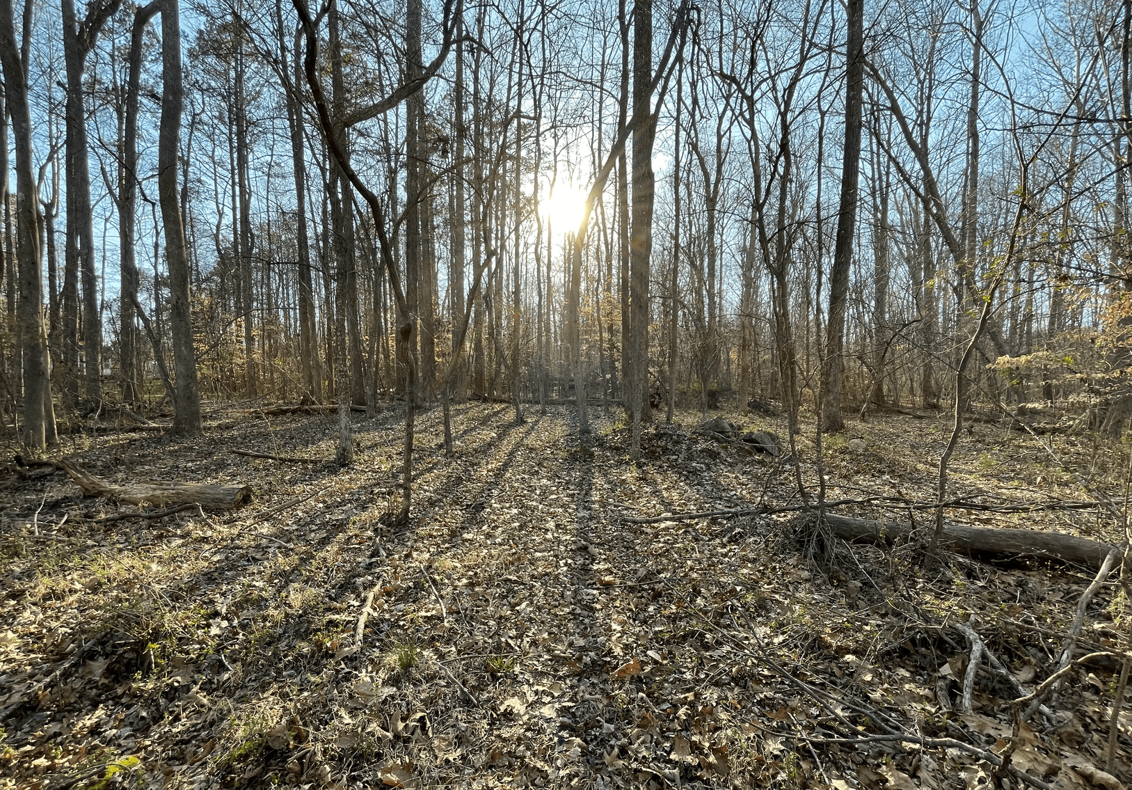 Charming Pleasant Garden Home on Spacious Lot with Large Shop