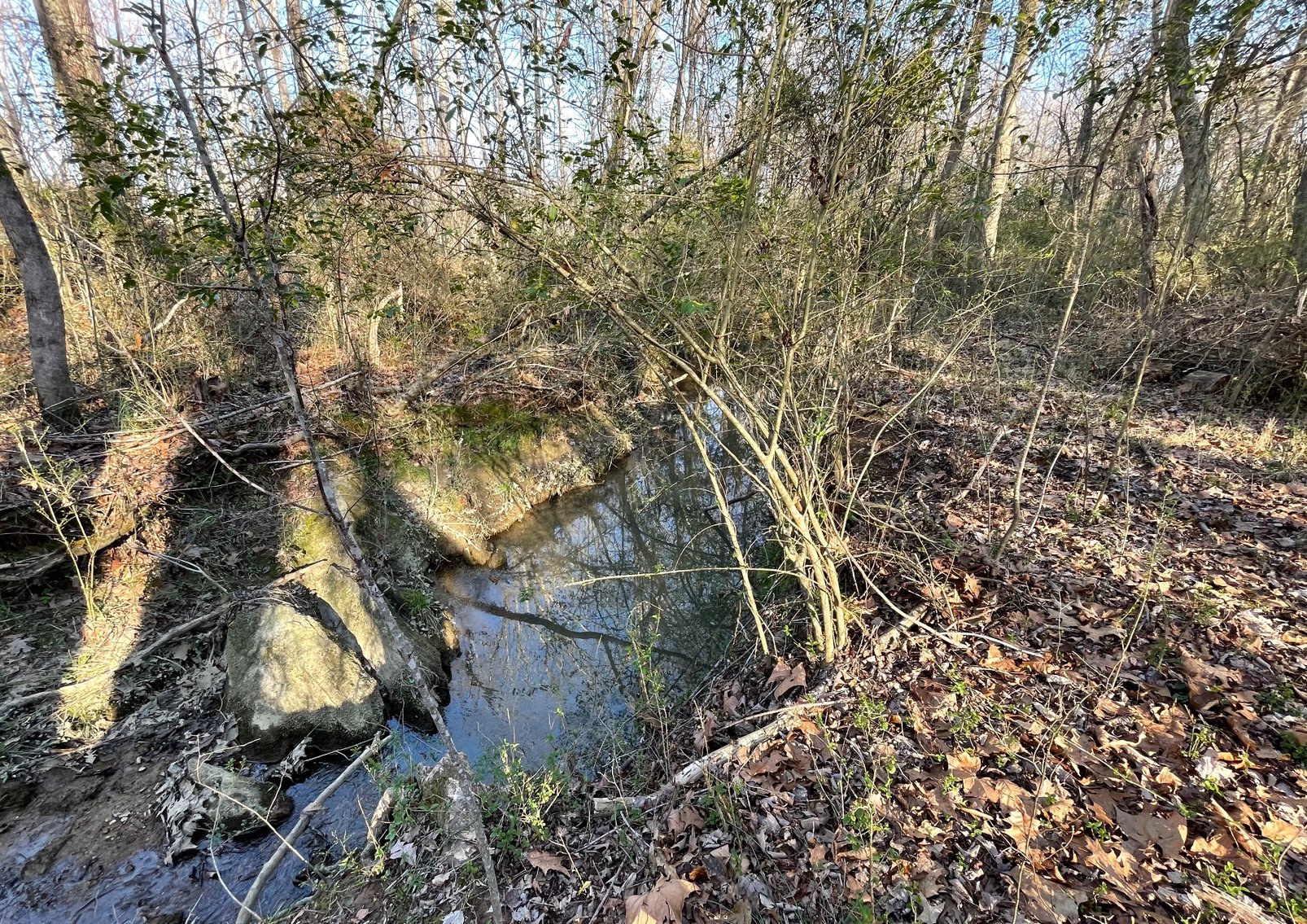 Charming Pleasant Garden Home on Spacious Lot with Large Shop