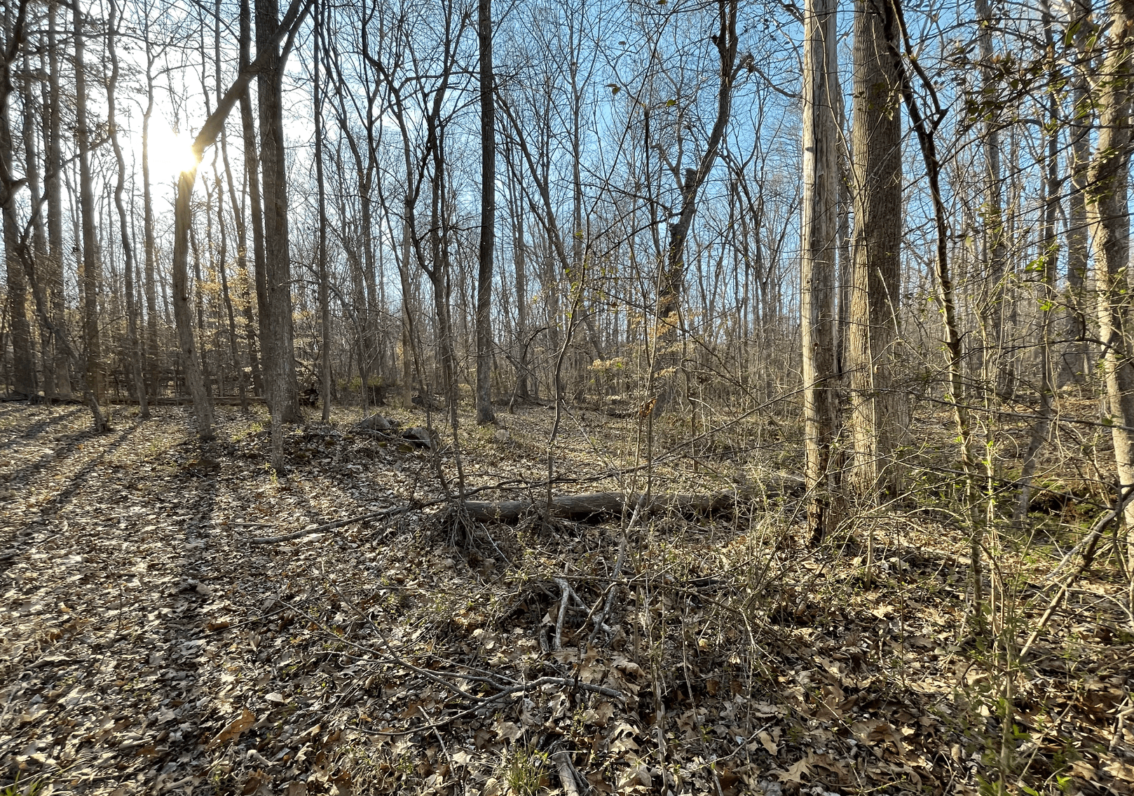 Charming Pleasant Garden Home on Spacious Lot with Large Shop