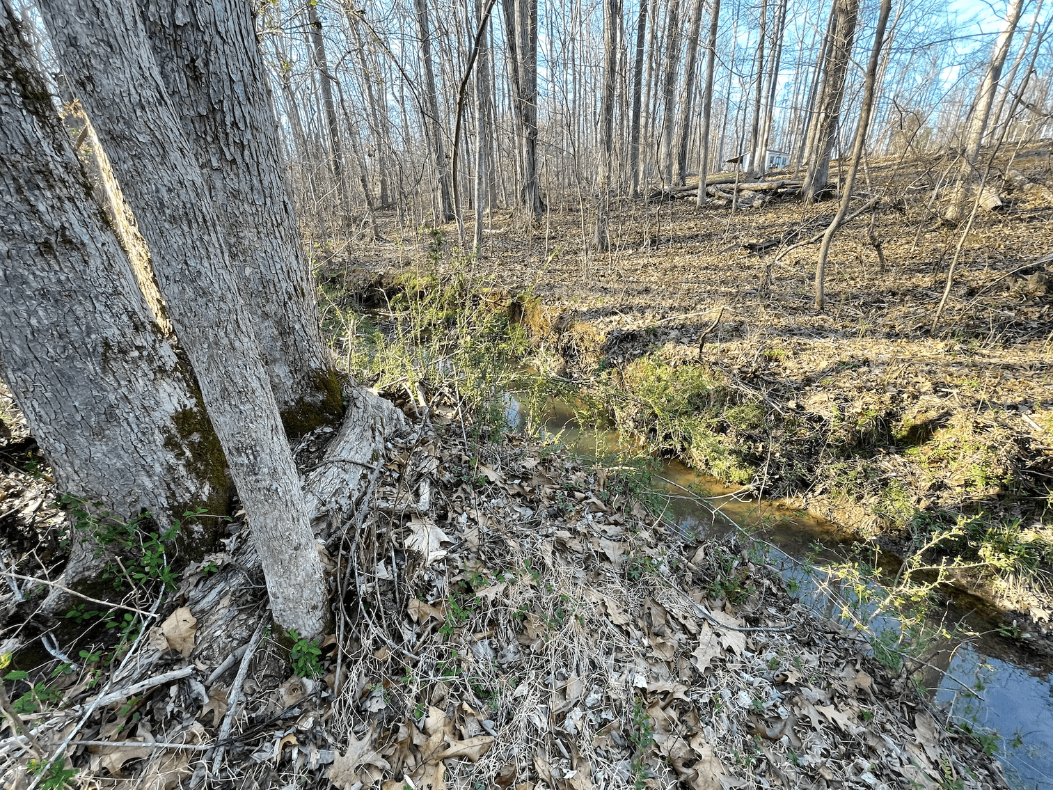 Charming Pleasant Garden Home on Spacious Lot with Large Shop