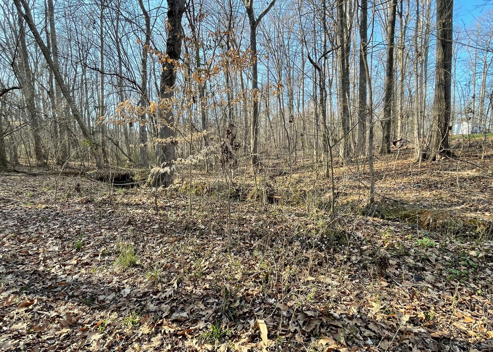 Charming Pleasant Garden Home on Spacious Lot with Large Shop