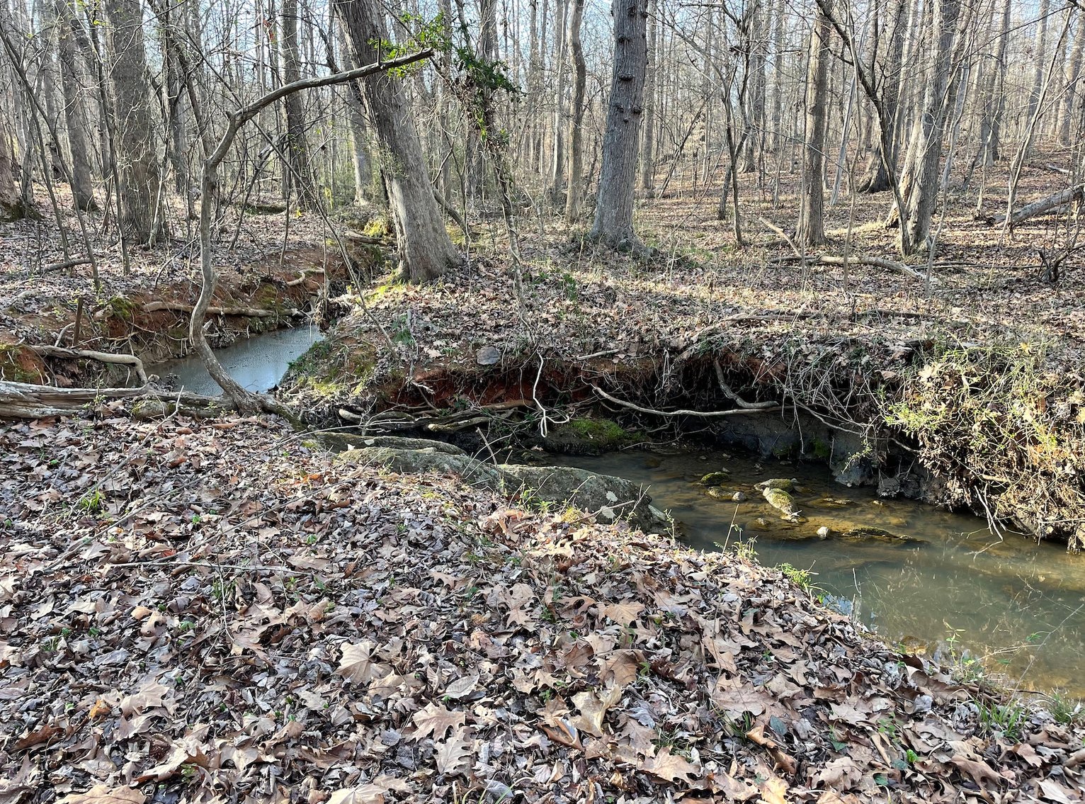 Charming Pleasant Garden Home on Spacious Lot with Large Shop