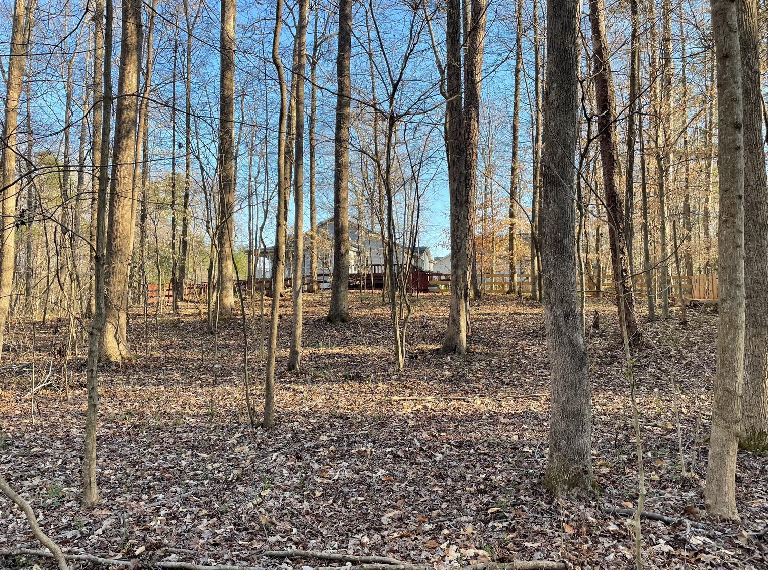 Charming Pleasant Garden Home on Spacious Lot with Large Shop