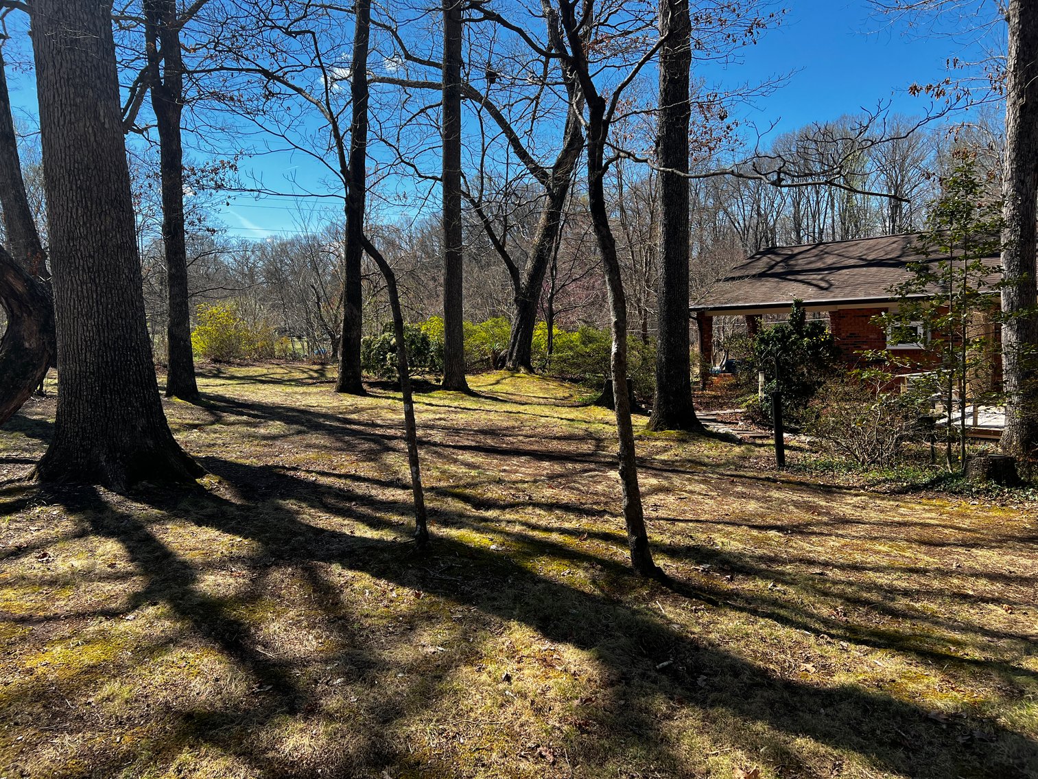 Advance Brick Rancher Auction