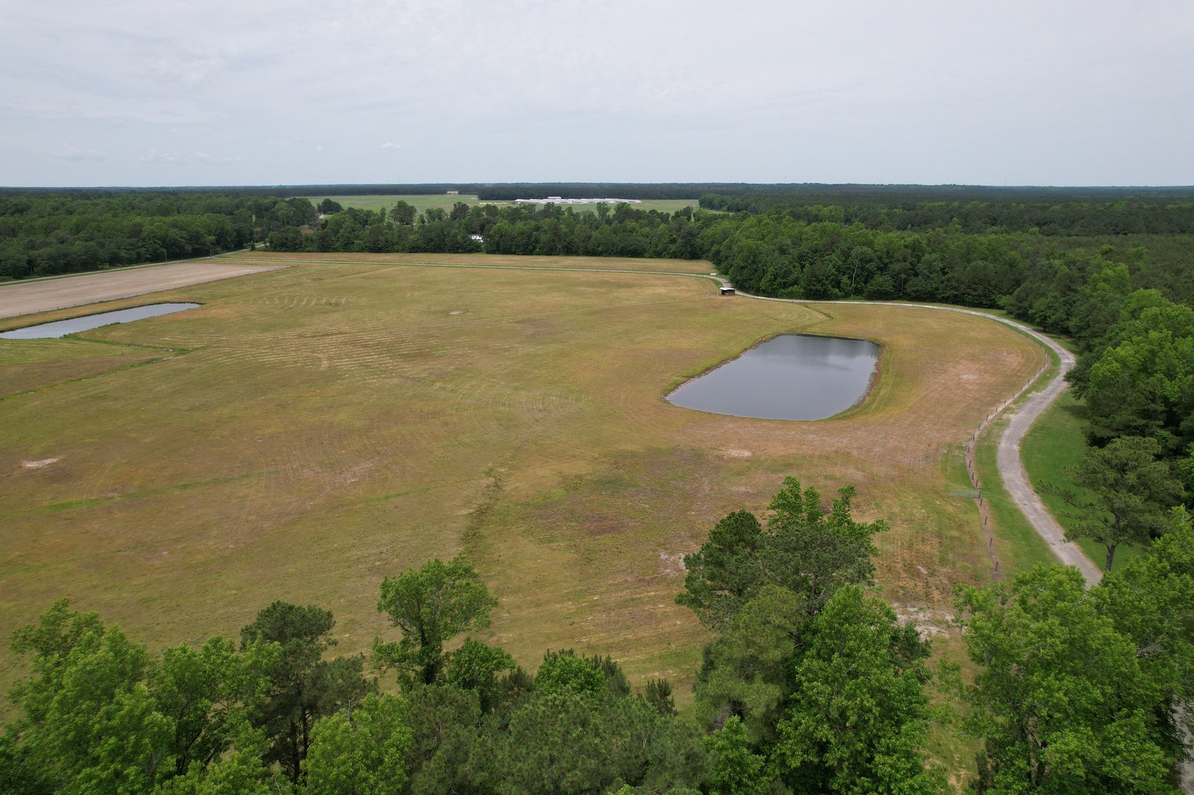 98.78+/- Acres in Kenansville, NC