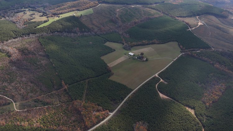 Image for 190 acres on 5 tracts with 5,000 +/- sqft Home Gladstone Va