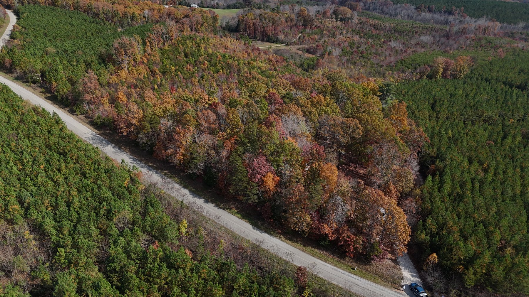 Image for 190 acres on 5 tracts with 5,000 +/- sqft Home Gladstone Va