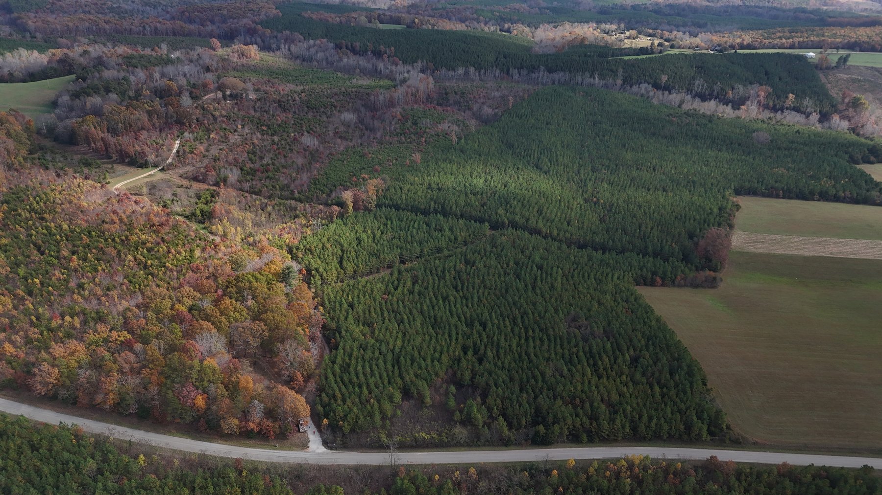 Image for 190 acres on 5 tracts with 5,000 +/- sqft Home Gladstone Va