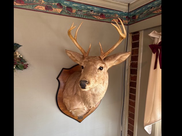 Image for Rustburg Personal Property Online Only