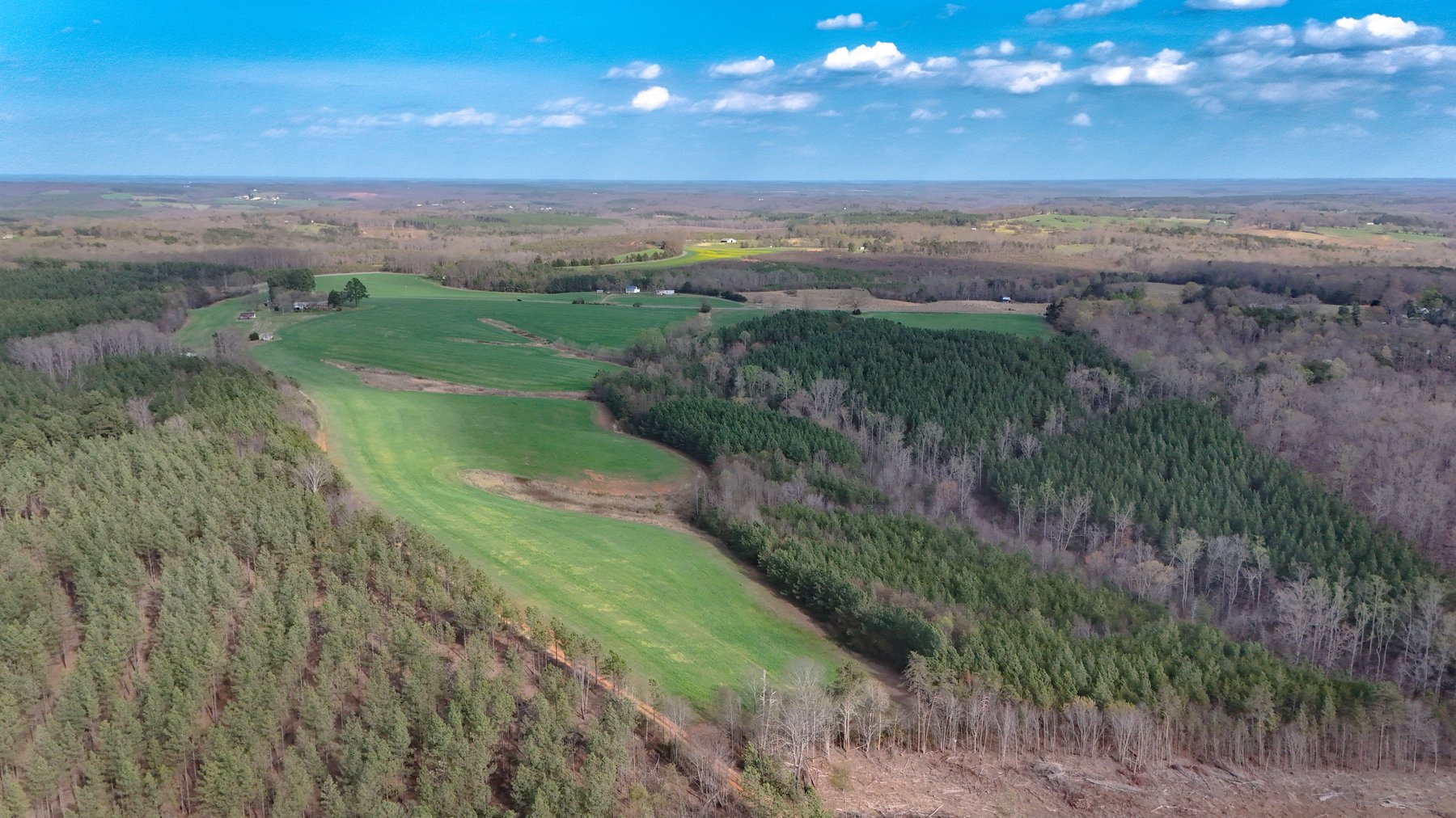 Image for 120 Acres In Gladys Being Sold in Multiple Tracts