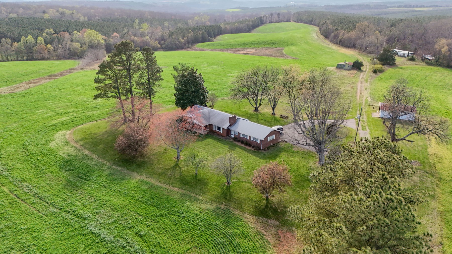 Image for 120 Acres In Gladys Being Sold in Multiple Tracts