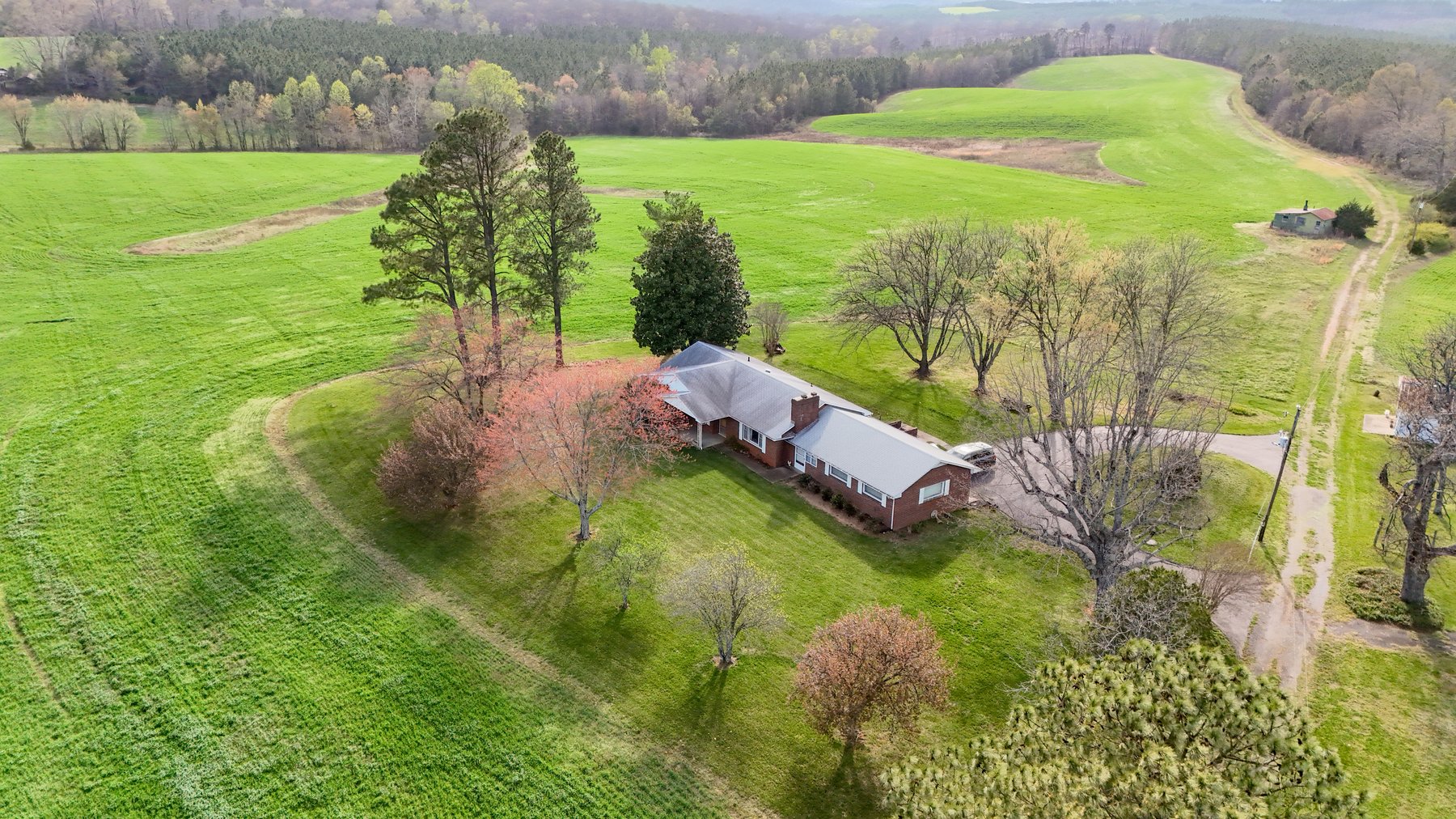 Image for 120 Acres In Gladys Being Sold in Multiple Tracts