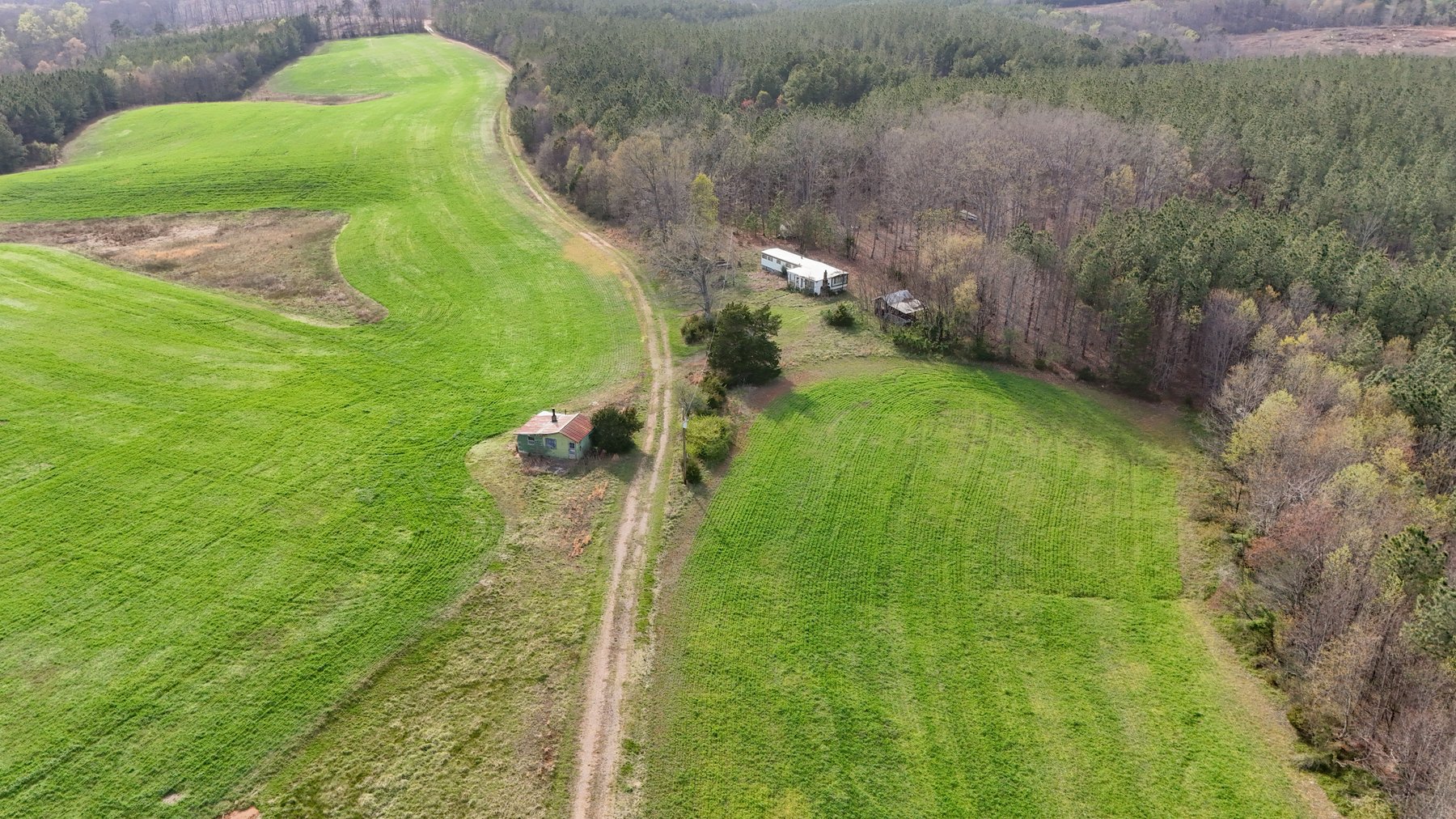 Image for 120 Acres In Gladys Being Sold in Multiple Tracts