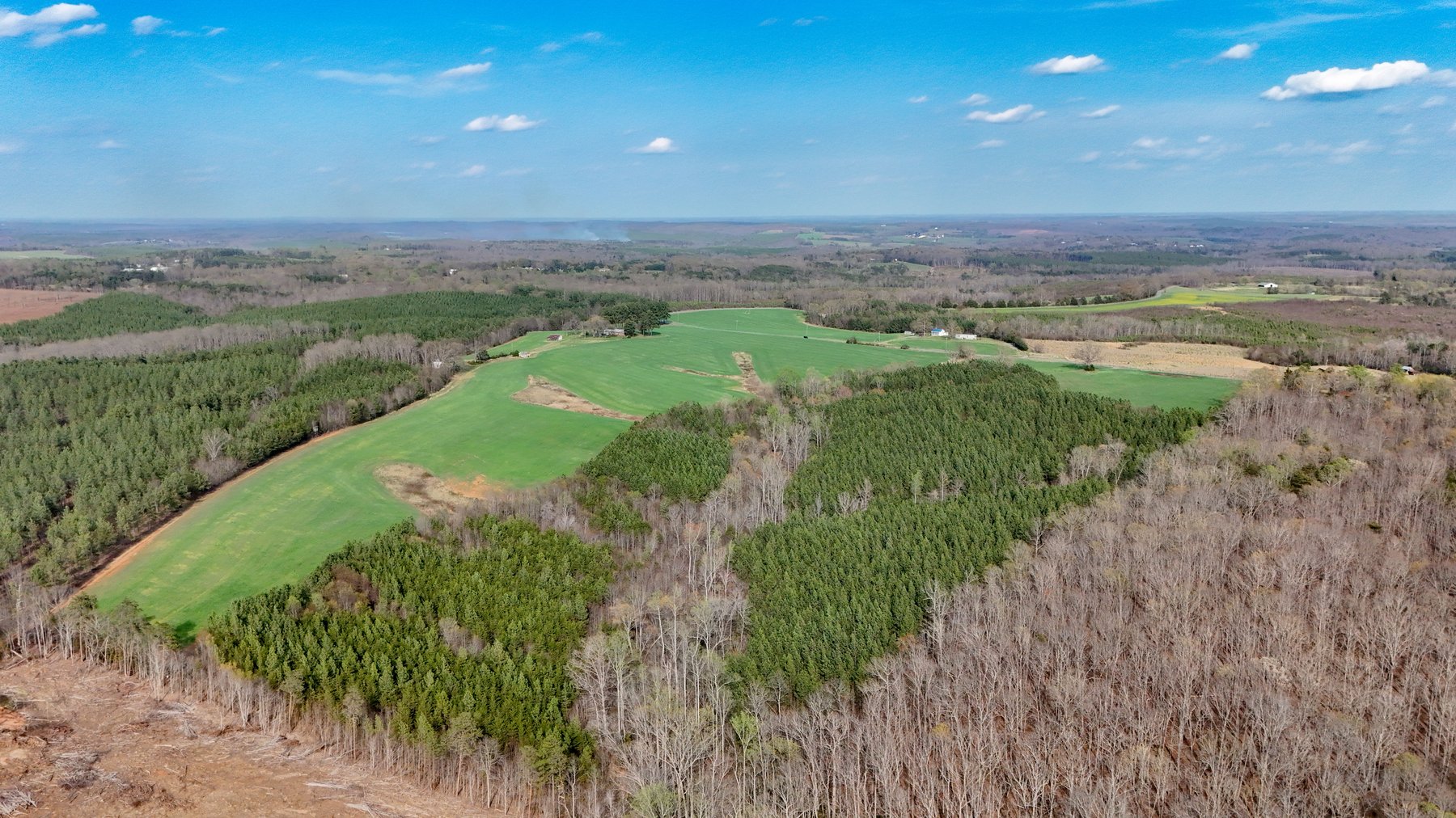 Image for 120 Acres In Gladys Being Sold in Multiple Tracts