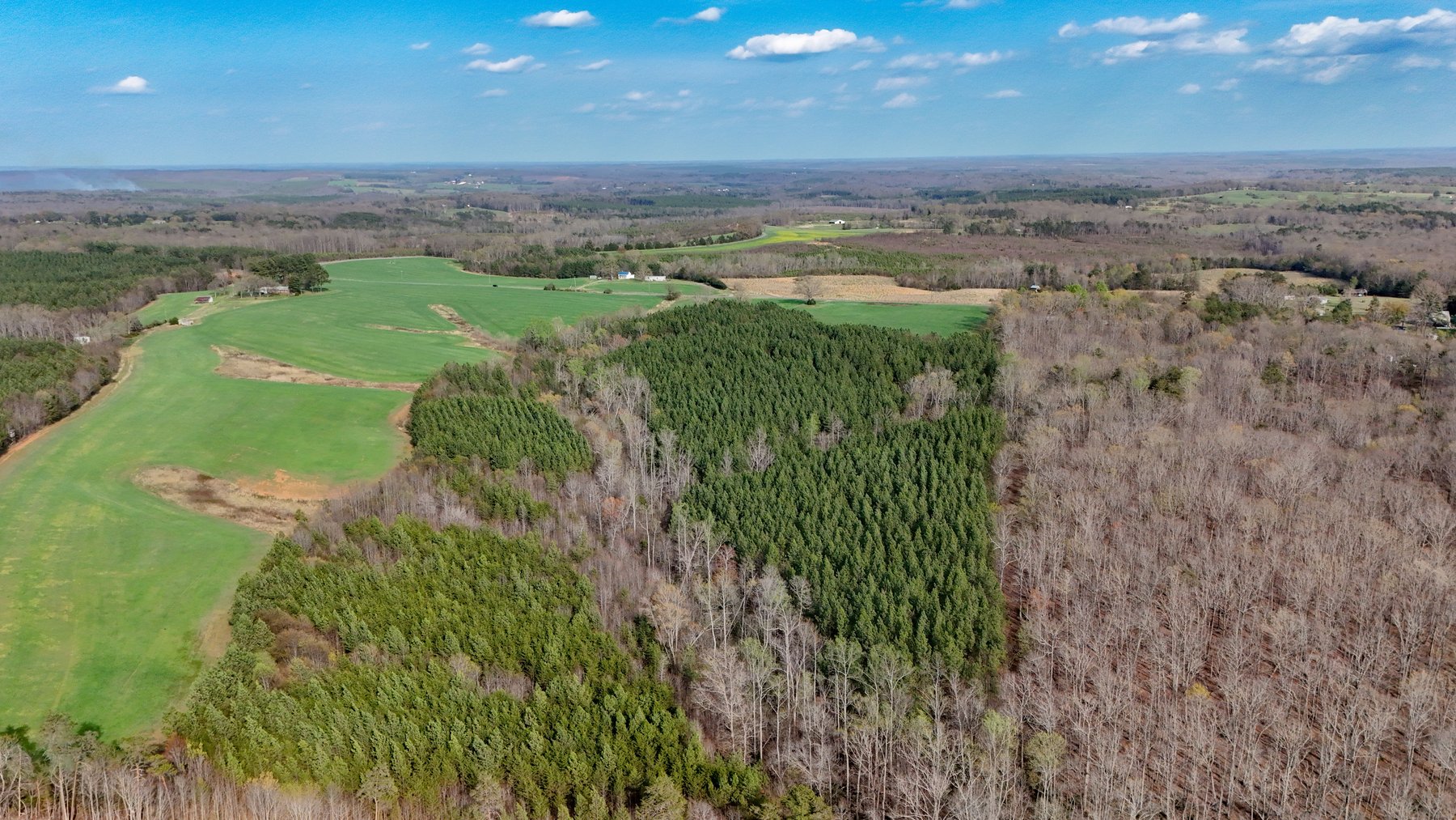 Image for 120 Acres In Gladys Being Sold in Multiple Tracts