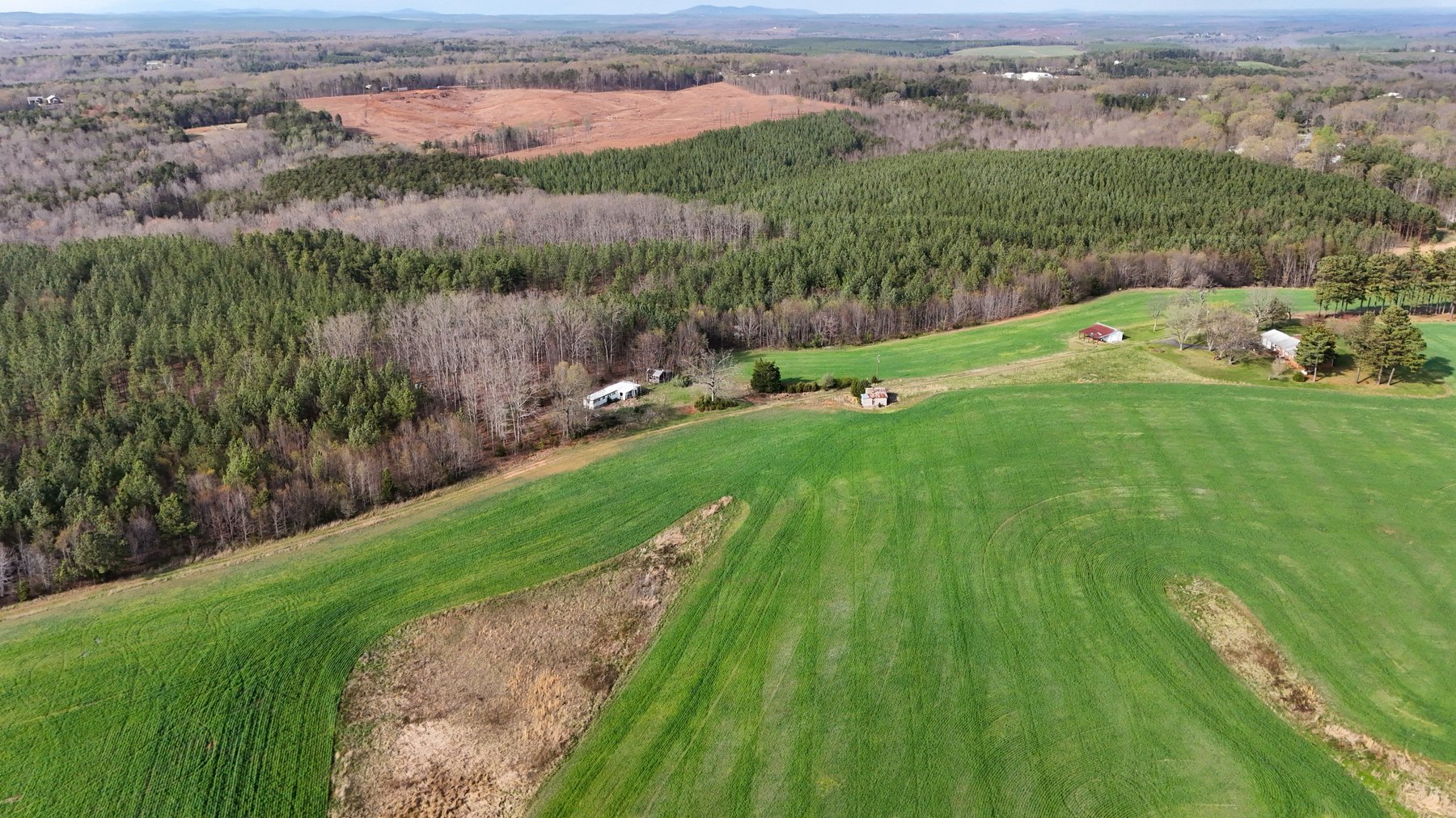 Image for 120 Acres In Gladys Being Sold in Multiple Tracts