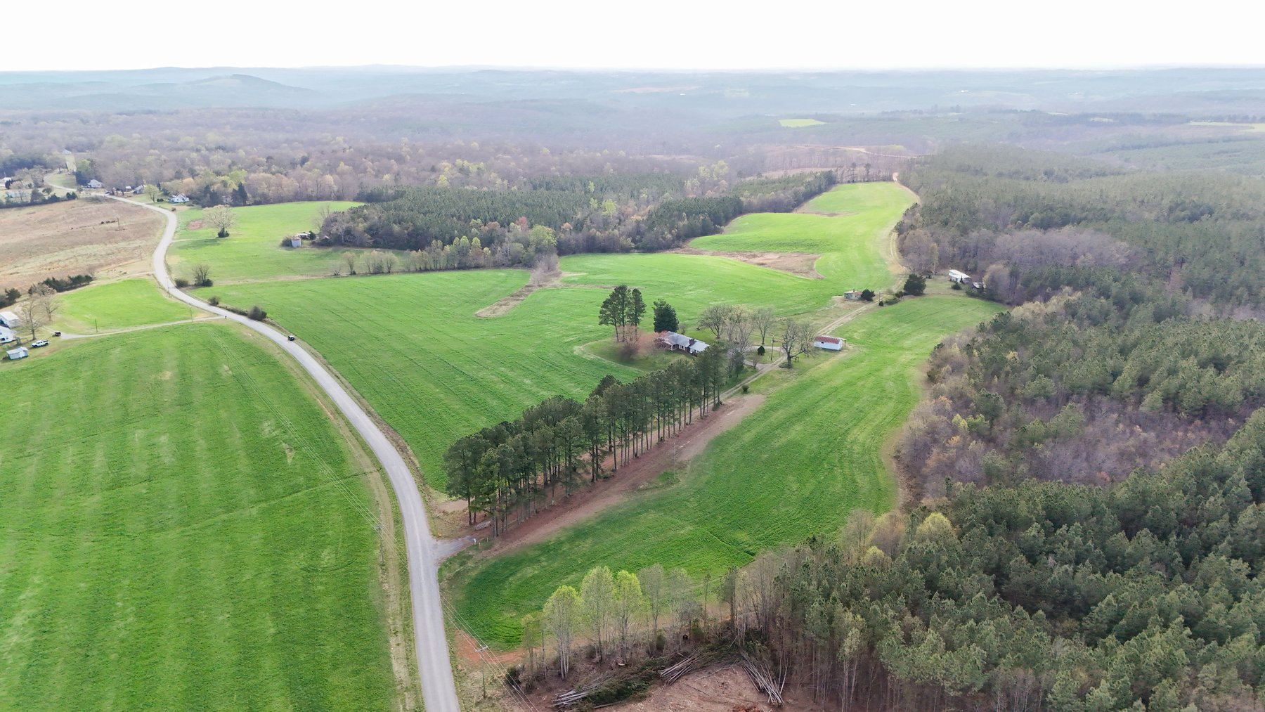 Image for 120 Acres In Gladys Being Sold in Multiple Tracts