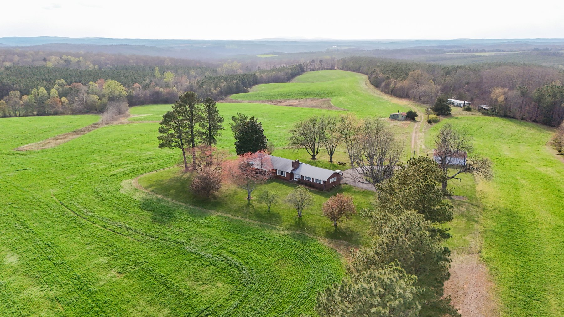 Image for 120 Acres In Gladys Being Sold in Multiple Tracts