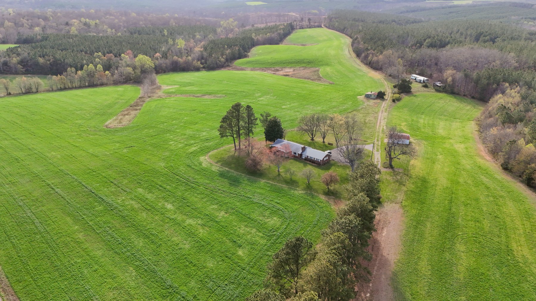 Image for 120 Acres In Gladys Being Sold in Multiple Tracts