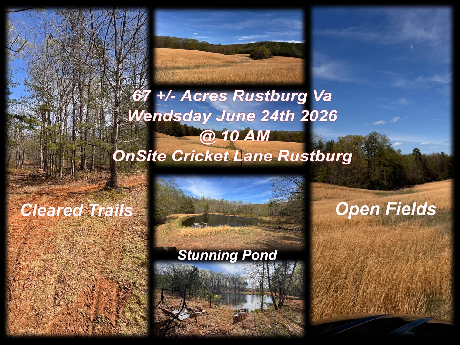 Image for Land Auction 67 Acres Rustburg VA