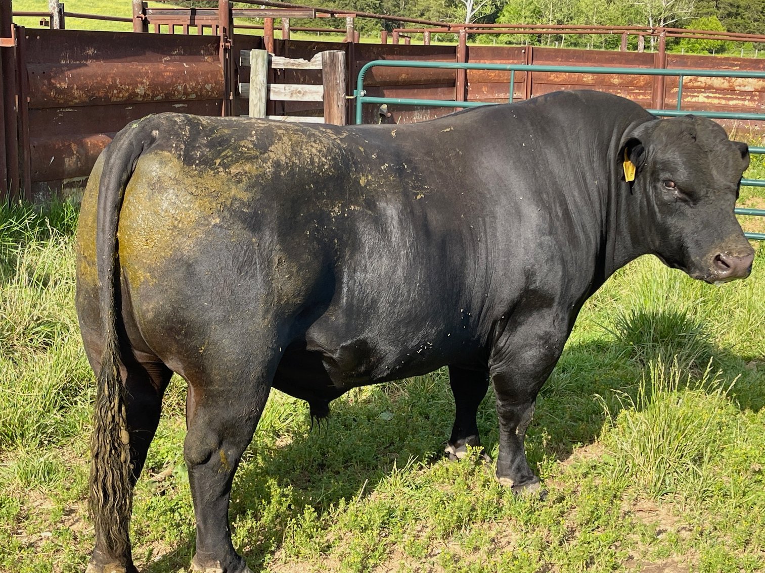 Image for Farm Equipment & Herd Dispersal