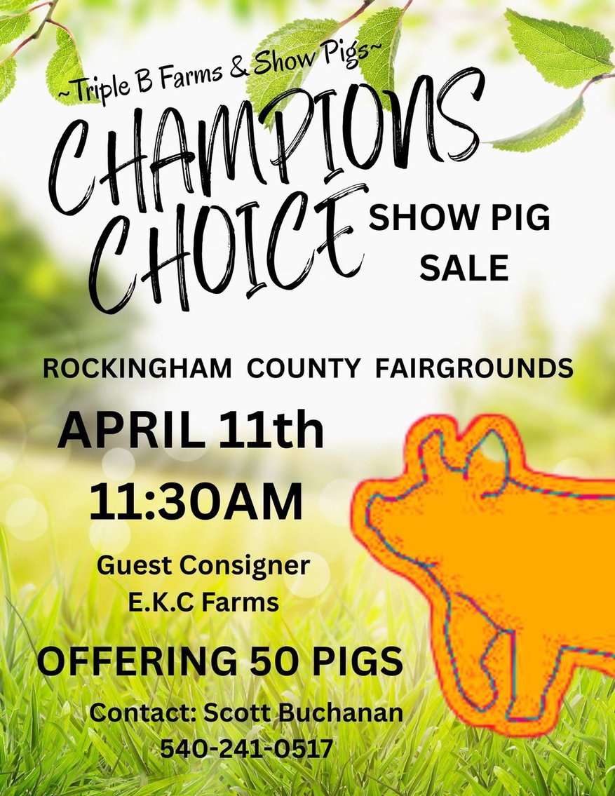 Image for Champions Choice Show Pig Sale 2026