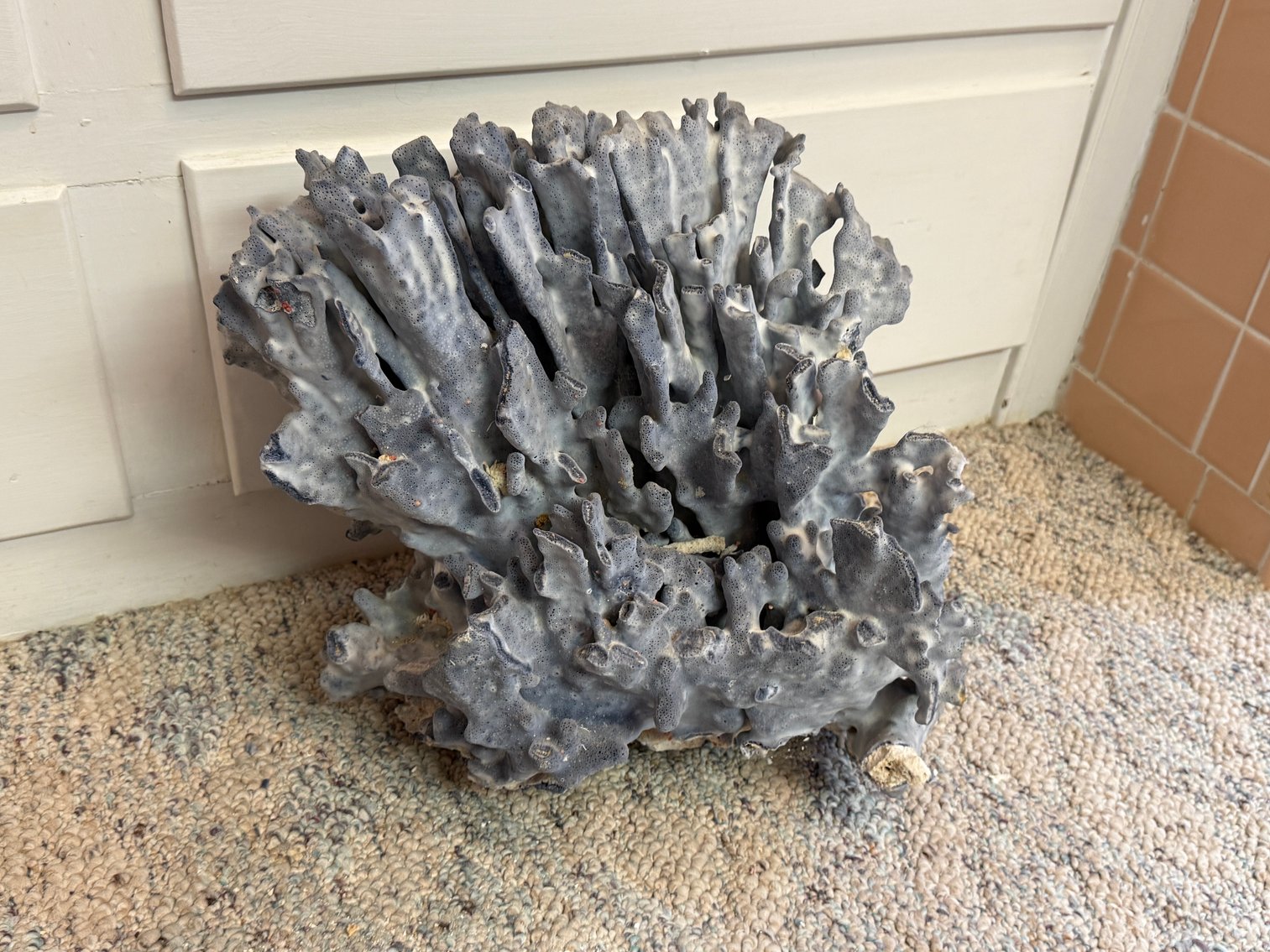 Image for Winston Hunley Estate