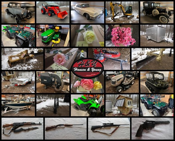 Image for Model A Collectibles, Argo, Mini Excavator, ATV's & Artificial Flowers