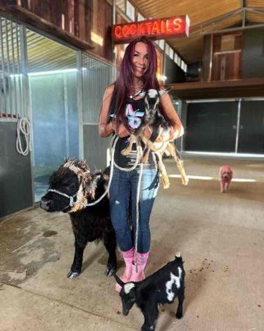 Image for San Bernardino County PRCA Rodeo Sponser Auction