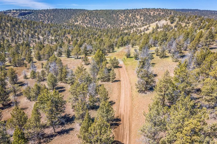 Image for Modoc Meadow