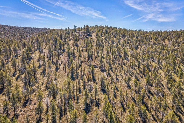 Image for Modoc Meadow