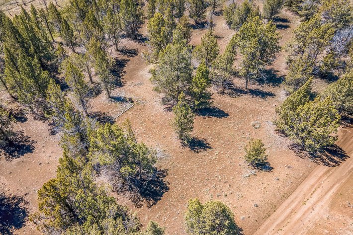 Image for Modoc Meadow