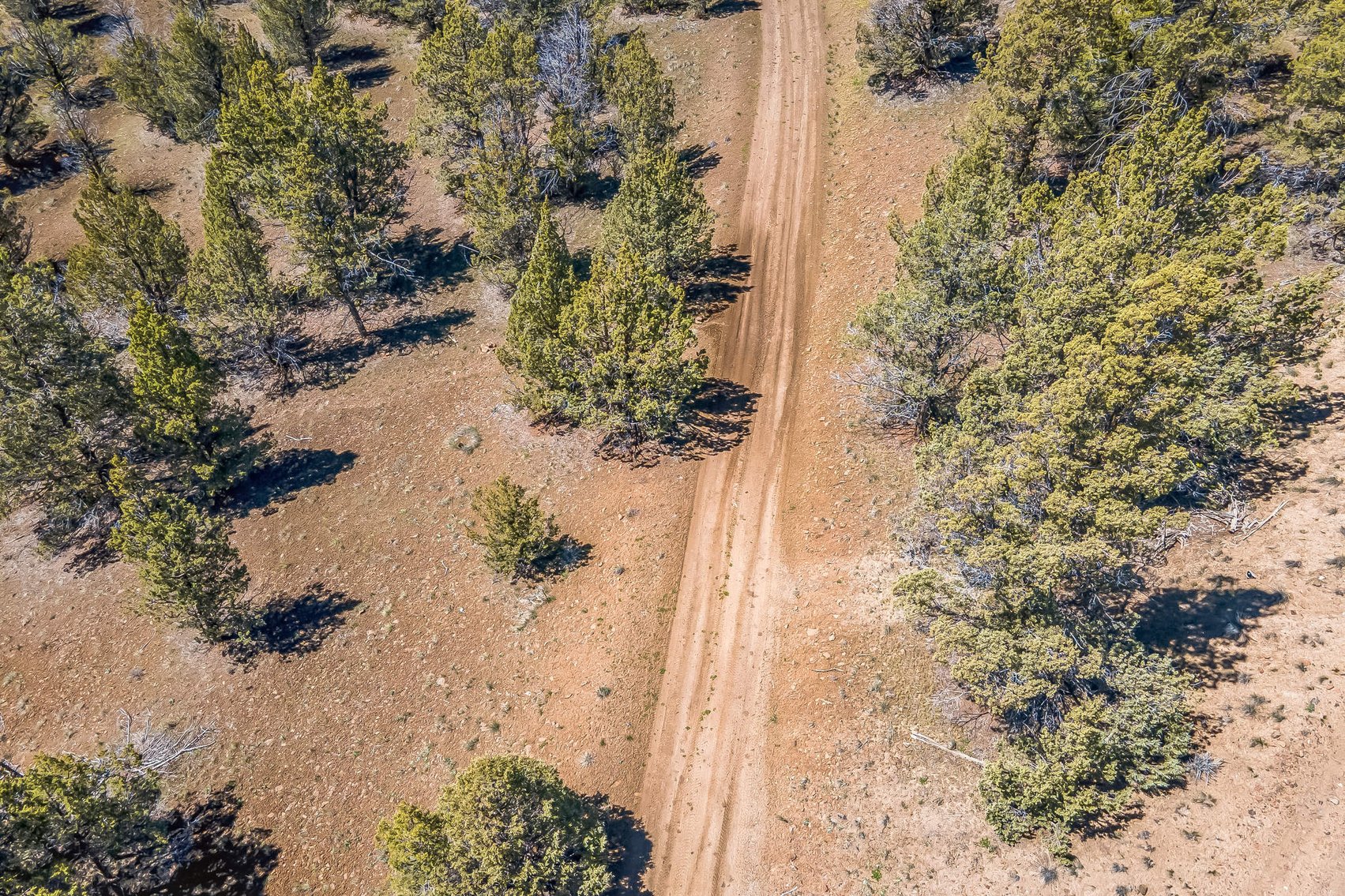 Image for Modoc Meadow