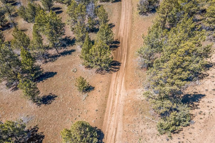 Image for Modoc Meadow