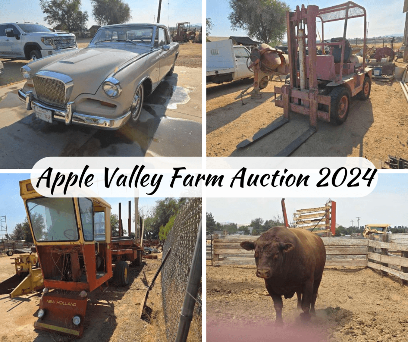 Image for Apple Valley Auction