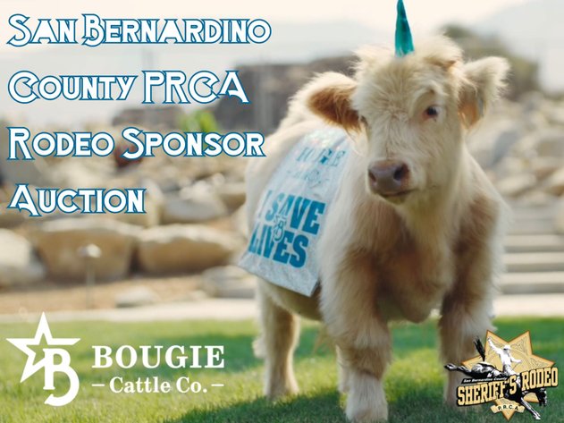 Image for San Bernardino County PRCA Rodeo Sponser Auction