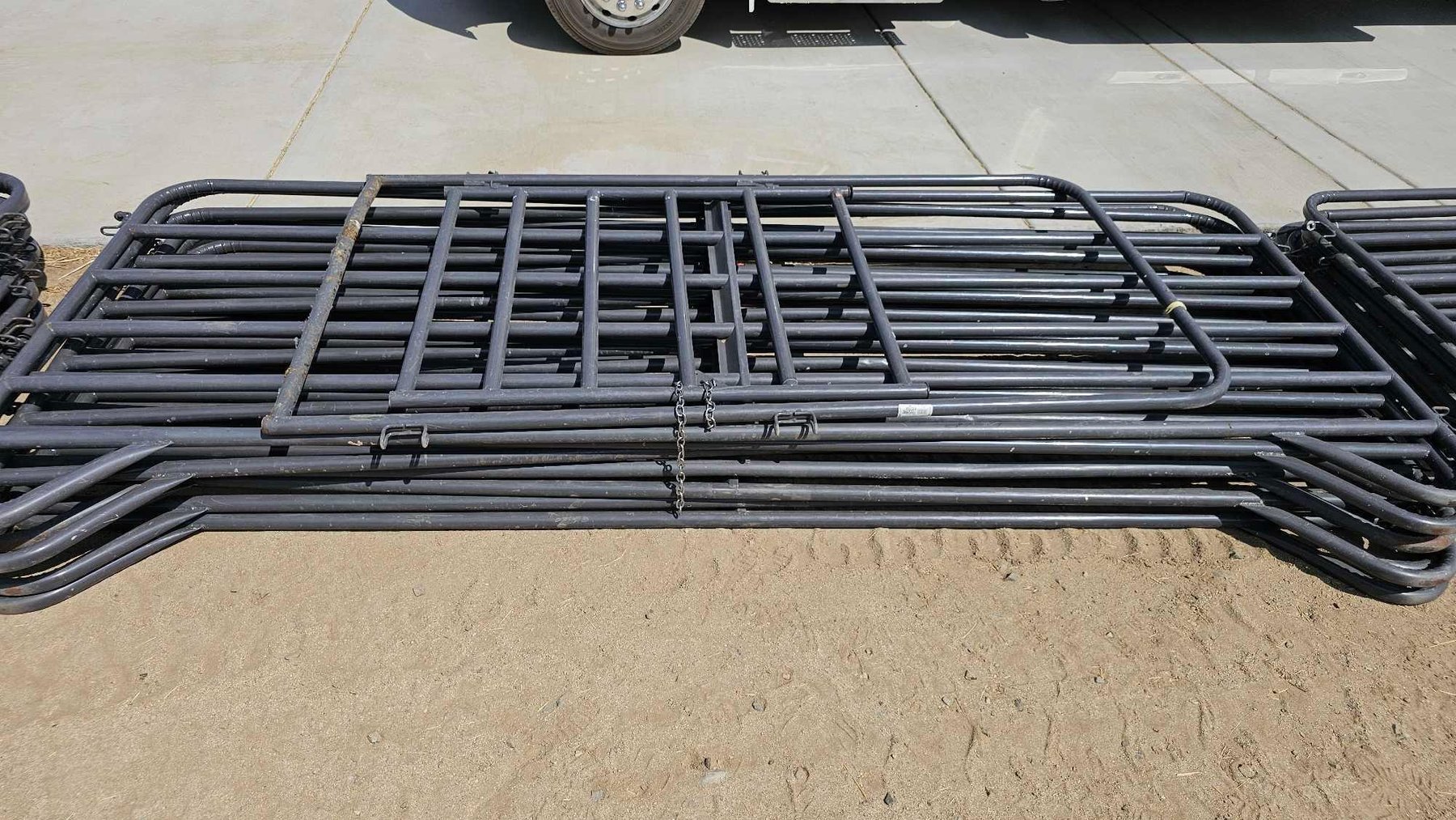 Image for Texas Longhorns Dispersal Sale!!  Nigerian Goats, Panels And More...