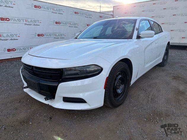 Image for January Auction #2