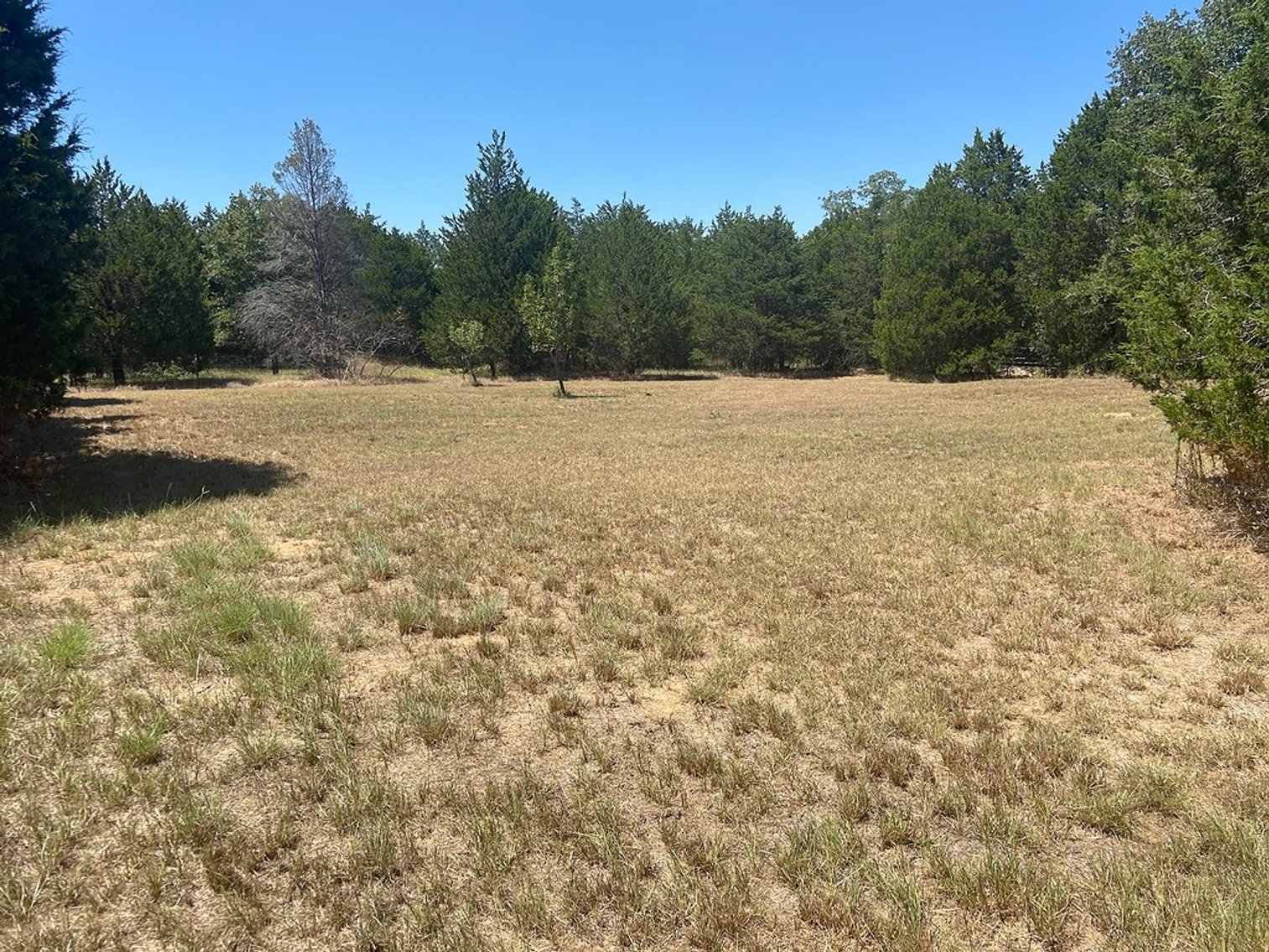 Image for Postvine Real Estate Auction