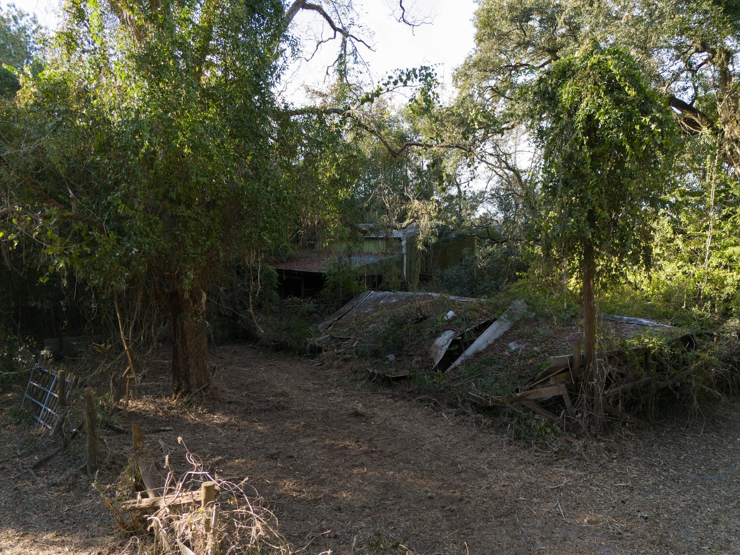 Image for Country Home and 8.5 Acres Located in Thomas County, Georgia