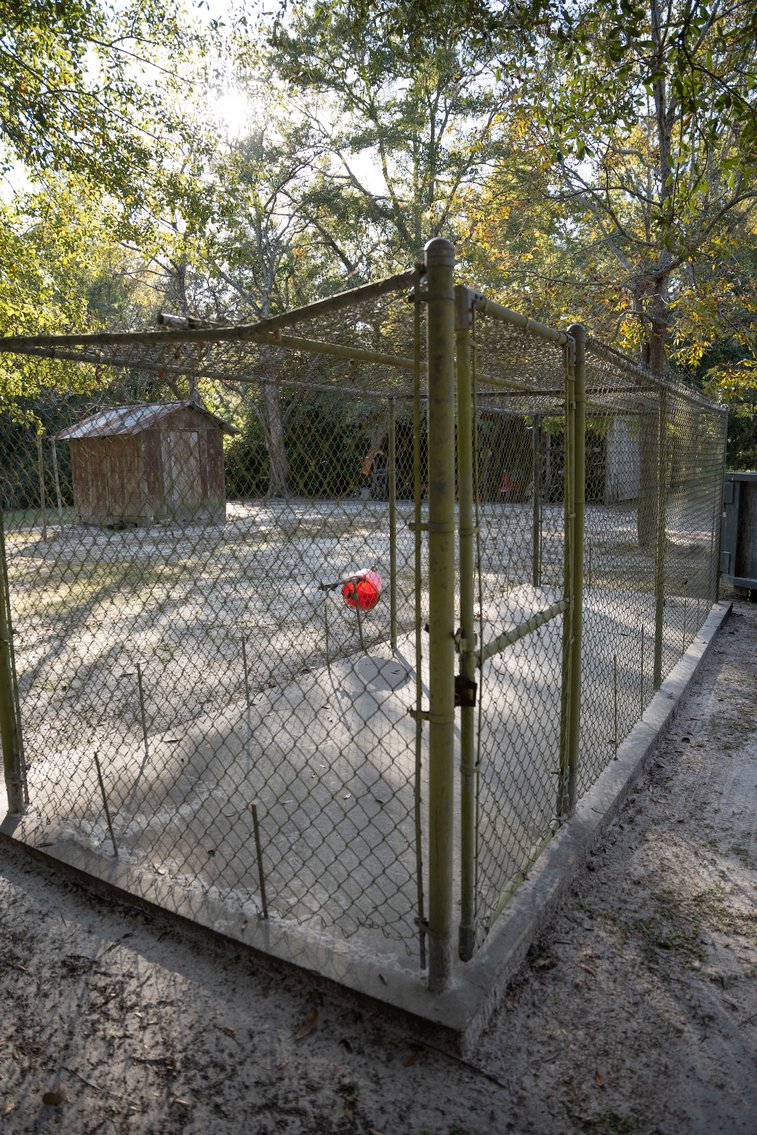 Image for Country Home and 8.5 Acres Located in Thomas County, Georgia