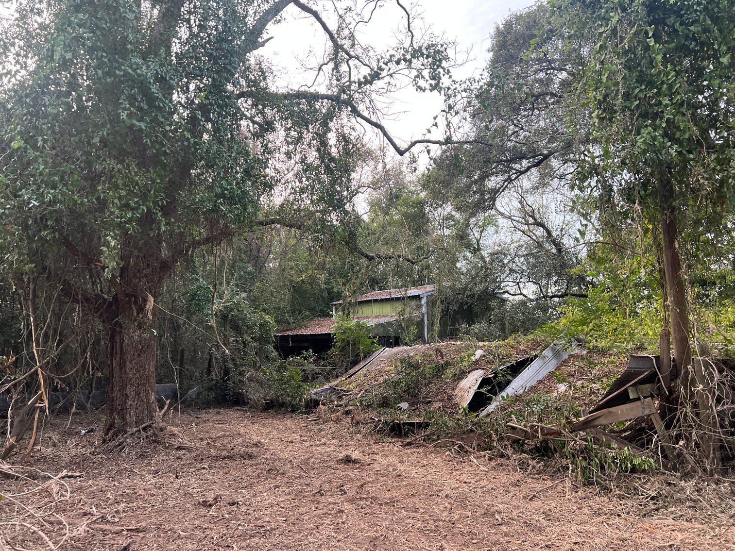 Image for Country Home and 8.5 Acres Located in Thomas County, Georgia