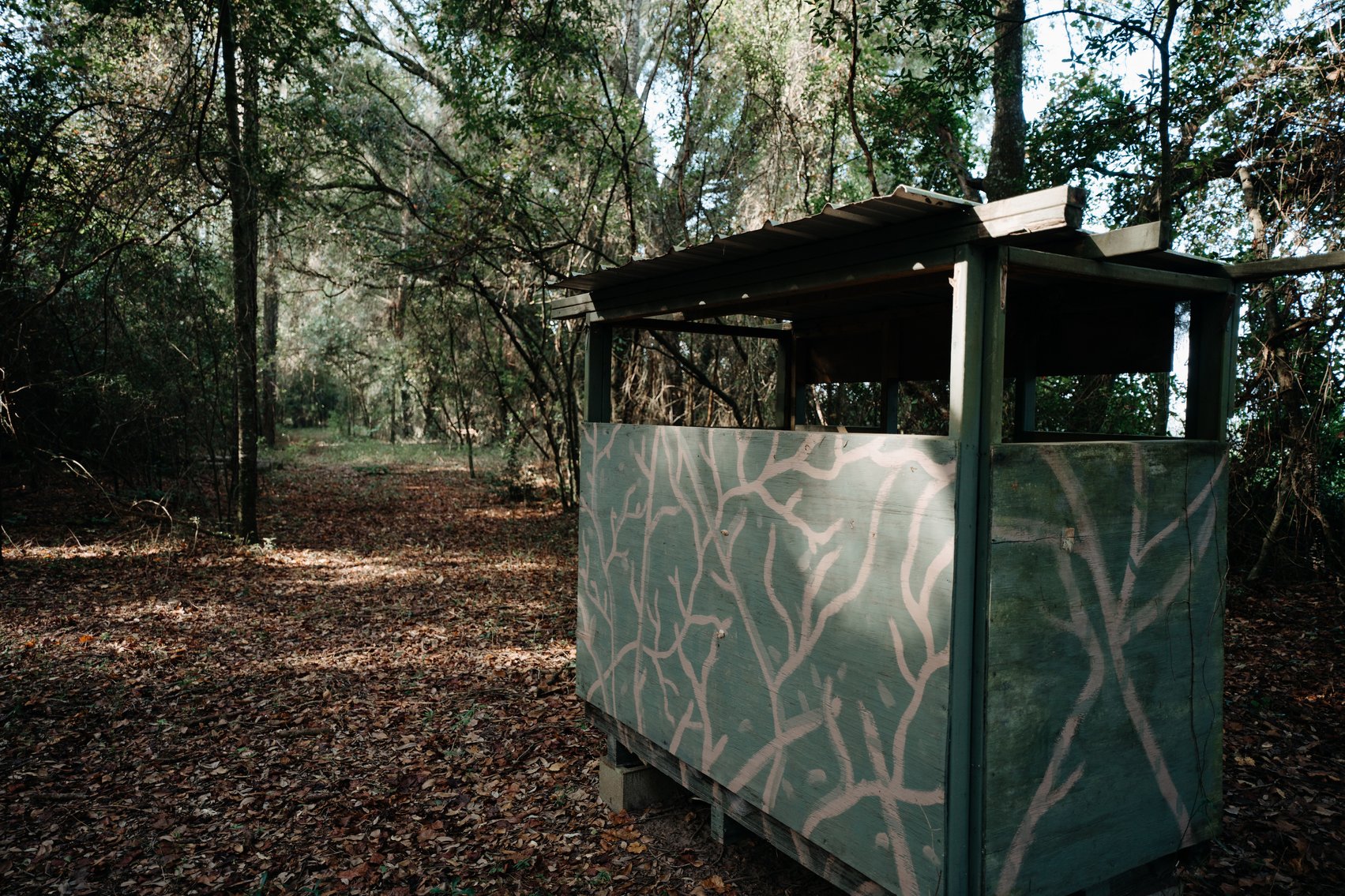 Image for Two Farms Totaling 185 +/- Acres Located in Calhoun County – The Estate of Curtis B. Adams