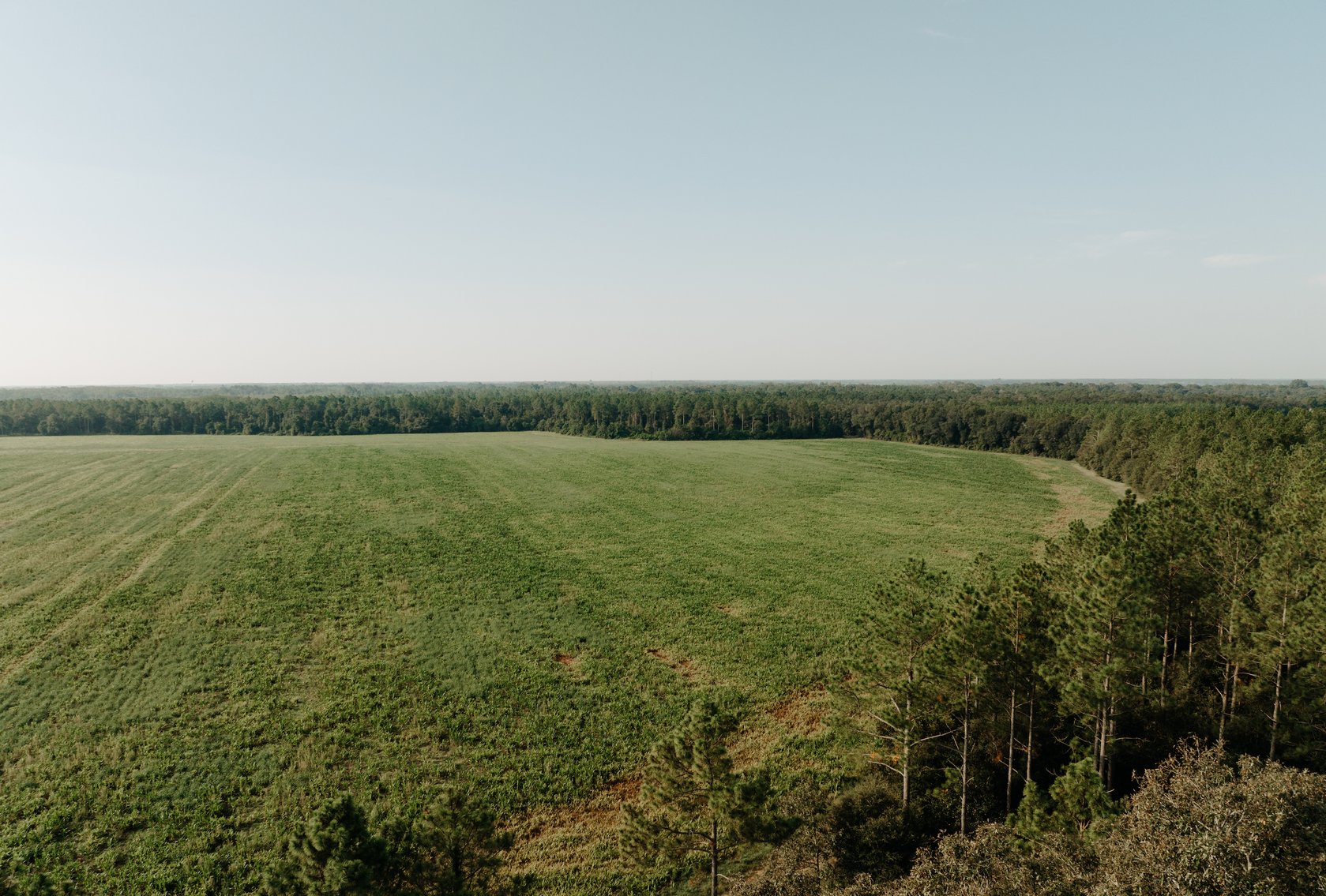 Image for Two Farms Totaling 185 +/- Acres Located in Calhoun County – The Estate of Curtis B. Adams