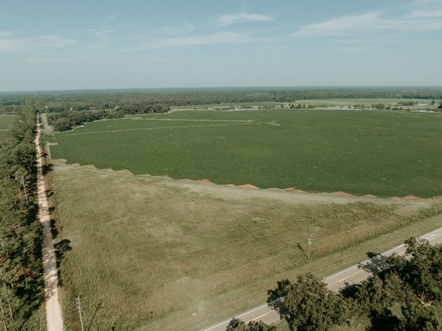 Image for 81.54+/- Acres Located in Calhoun County – The Estate of Curtis B. Adams