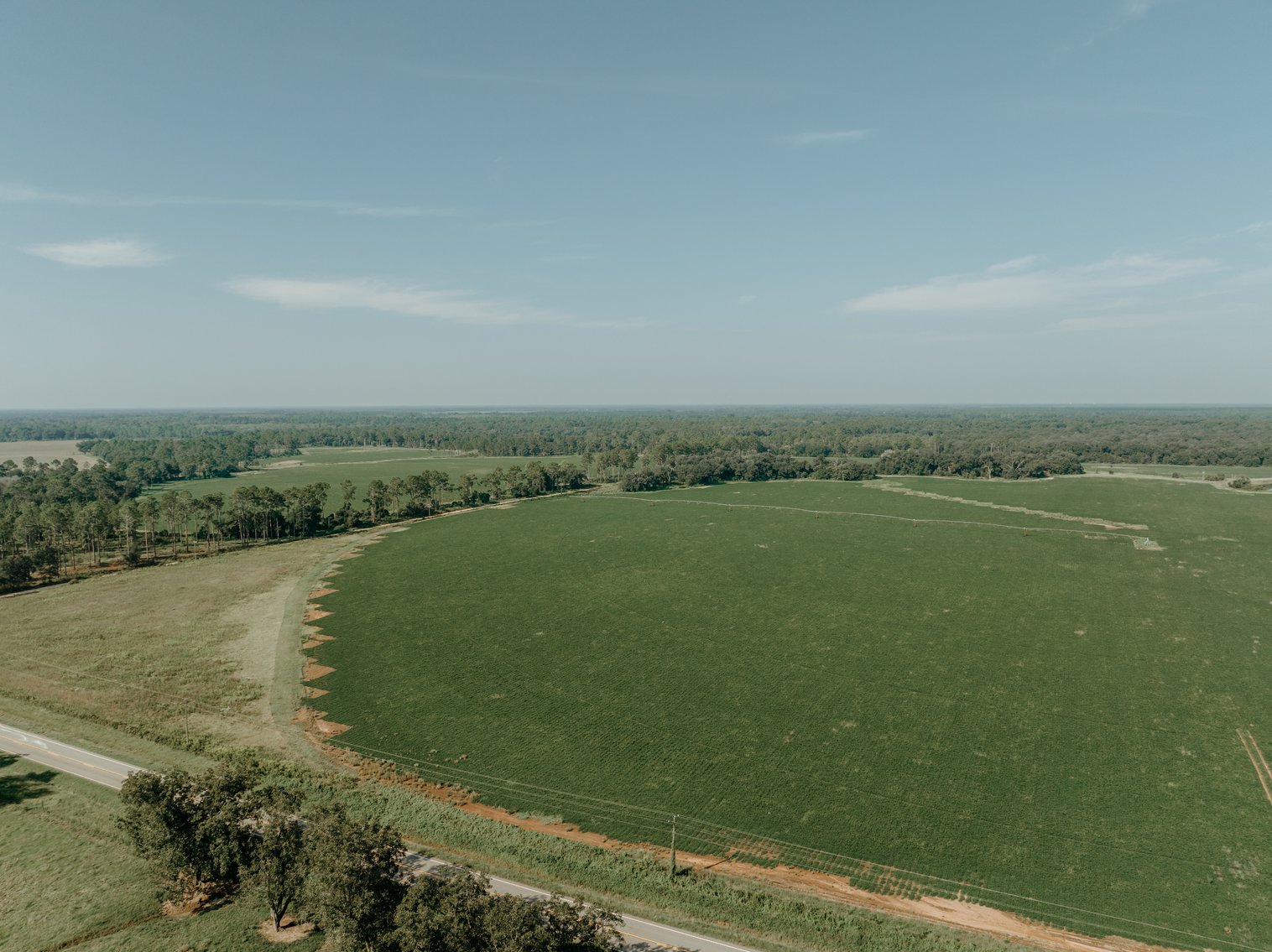 Image for 81.54+/- Acres Located in Calhoun County – The Estate of Curtis B. Adams